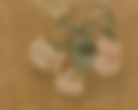 Pivoines au vase  (preview)