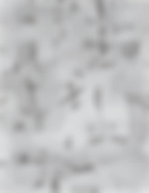Not, Not 不，不 (preview)