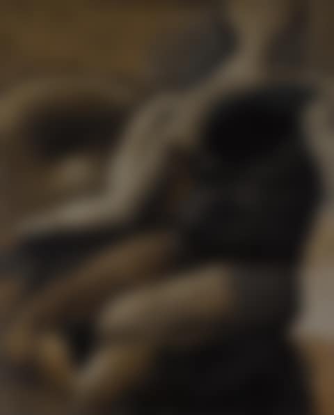 Sin título (preview)