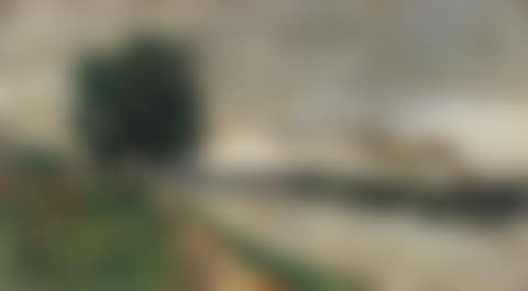 Blick auf den Rhein (preview)