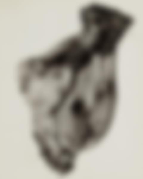 Negative #77 (preview)