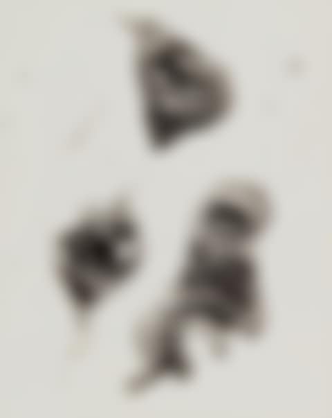 Negative #91 (preview)