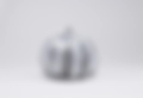 Pumpkin No.2 (preview)