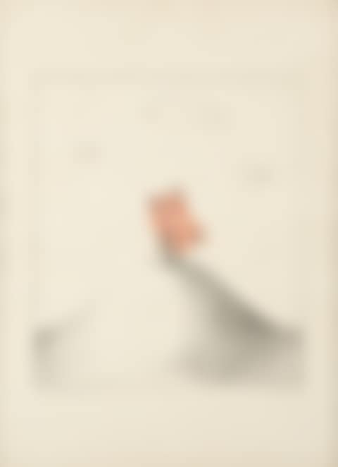 Le Papillon  (preview)