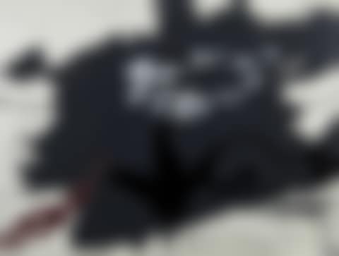 Roig i negre 1 (preview)