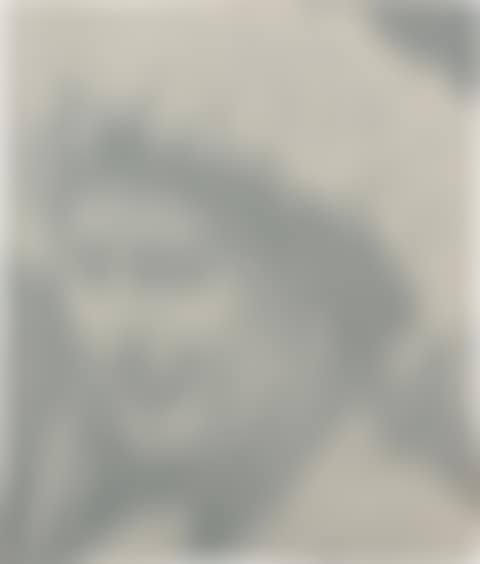 Elizabeth I (preview)