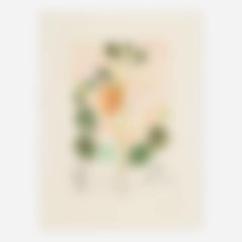 Anacardium recordans (Begonia Le Coeur) (from the Flordali series) (preview)