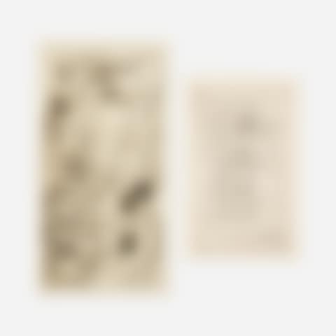 On Different Planes; Lines in Vertical (two works) (preview)