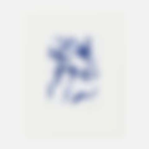 Untitled (SFE-048) (preview)