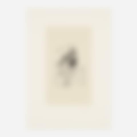 Untitled (from the Octavio Paz suite) (preview)