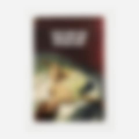 Everything was Beautiful and Nothing Hurt (preview)