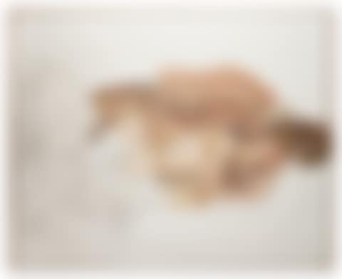 And the Bridegroom (first version, fragment) (preview)