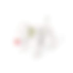 DOGGY RADIO (preview)