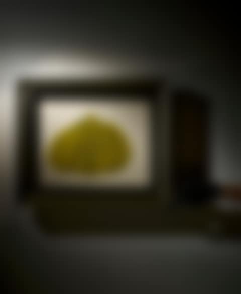 Pumpkin (preview)