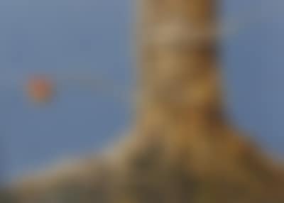 Suche einen Freund (Looking for a friend) (preview)