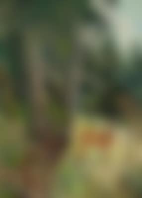Rehbock in einer Lichtung (preview)