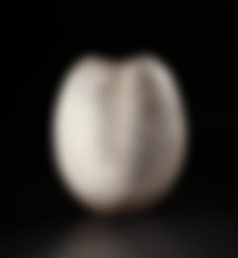 Monumental ovoid pot (preview)