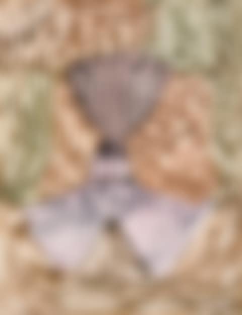 Femminette (preview)