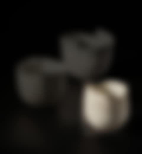 Bud form bowl (preview)