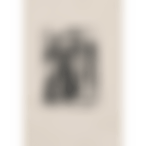Figure 1 (ULAE 13) (preview)