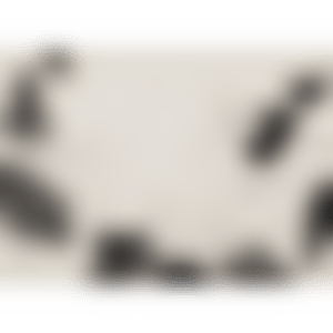 From Island 8 (preview)