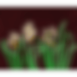 FLOWERS (Kusama 84) (preview)