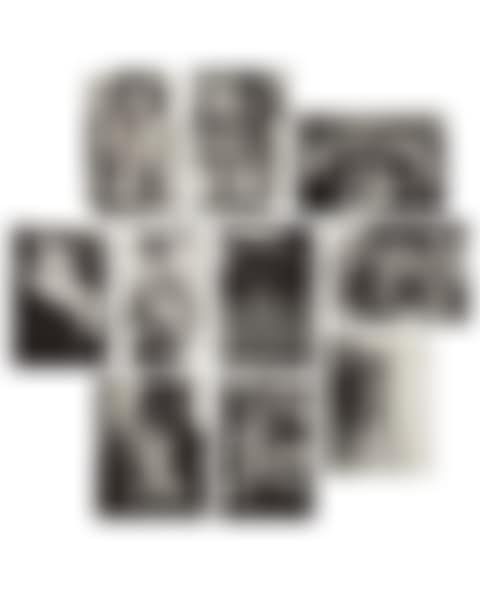 Classic Portfolio (Helmut Newton Photographien) (preview)