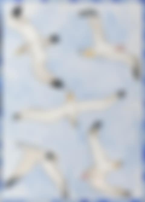 Les mouettes (preview)