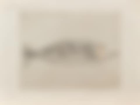 Poisson paysage (preview)