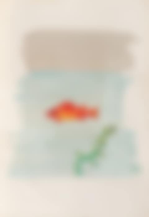 Poisson (preview)
