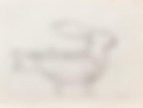 Lapin polymorphe (preview)