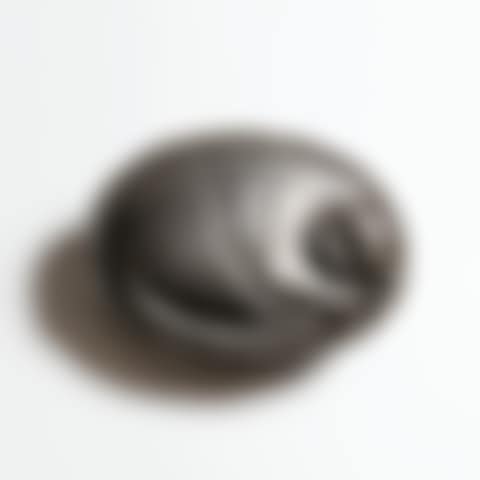 Chat qui dort (preview)