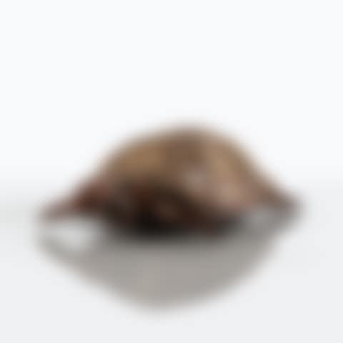 Tortue de marbre (preview)