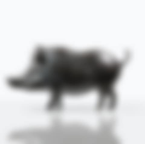 Sanglier de Villepinte (preview)
