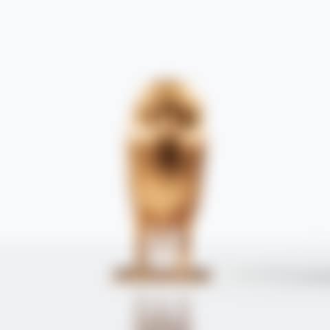 Chouette de Tourtour (preview)