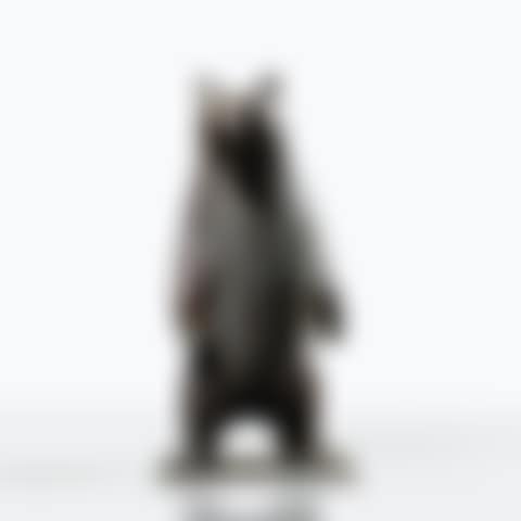Petit Ours (preview)