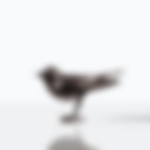 Oiseau de jardin (preview)