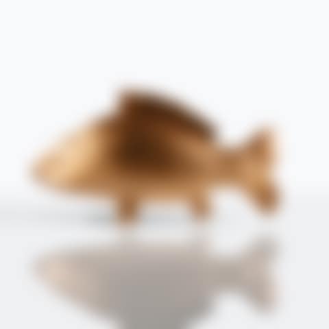 Grande carpe (preview)
