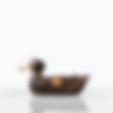 Canard (preview)