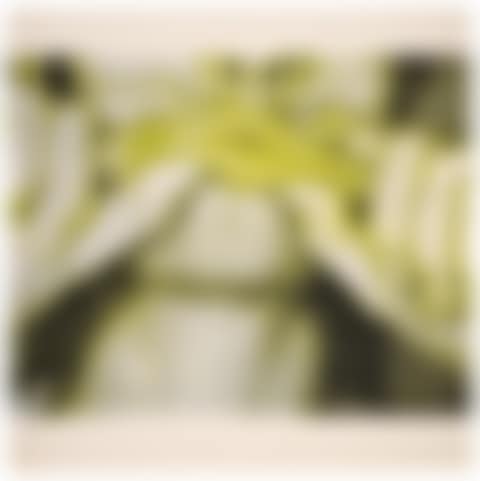 Hand Pinching Lips (Plate 1), from Study for a Hologram (preview)