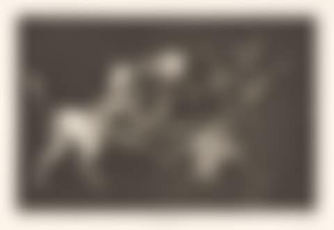 Los Proverbios: Additional Plates . (preview)
