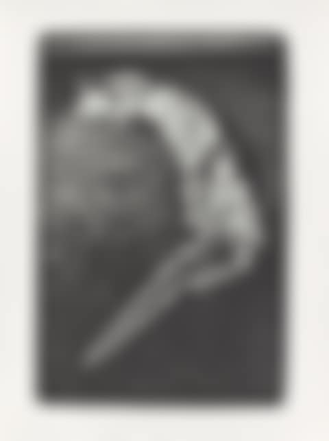 ”Portrait Sigmar Polke mit Schlangenhaut in Willich, Gaspelshof” (preview)