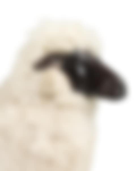 Mouton de Laine (preview)