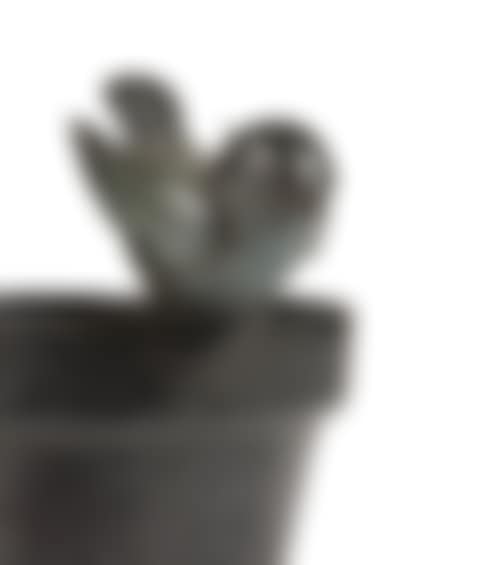 Le Roitelet (preview)