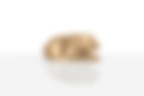 Le Lapin (preview)