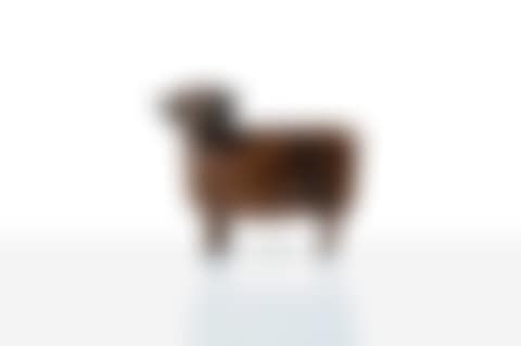 Petit Mouton de Peter (preview)