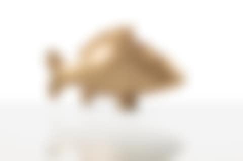 Grande Carpe (preview)