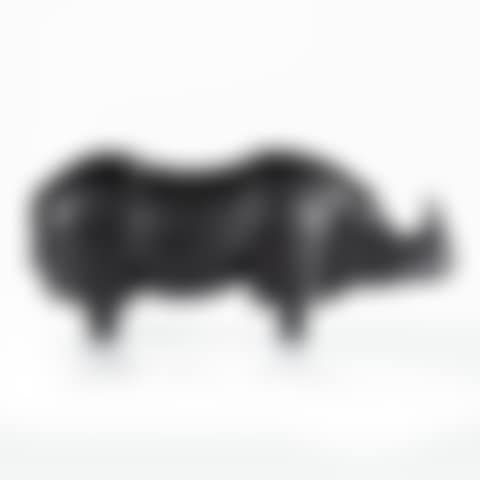 Rhinocéros (preview)