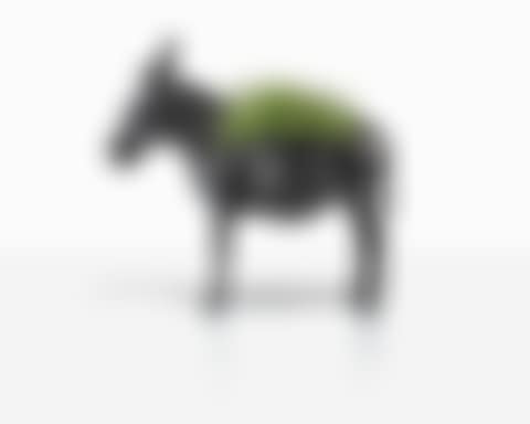 Âne Planté (preview)
