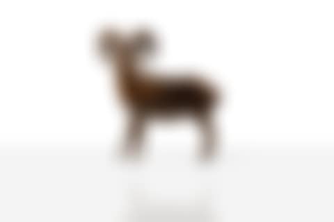 Grand Mouflon de Ram Island (preview)